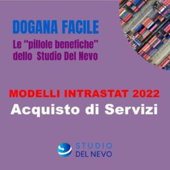 Videocorso - Modelli Intrastat 2022: Acquisto di servizi