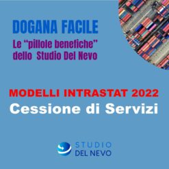 Videocorso - Modelli Intrastat 2022: Cessione di servizi