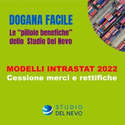 Videocorso - Modelli Intrastat 2022: Cessione Merci e Rettifiche